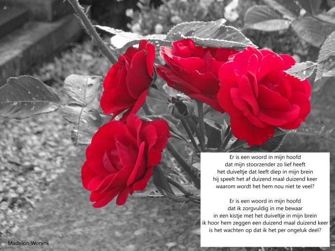 woord in mijn hoofd