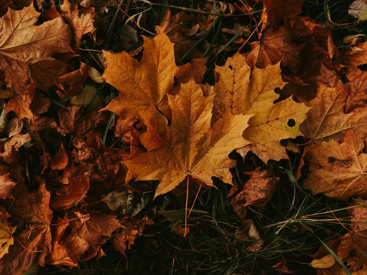 verandering keer twee